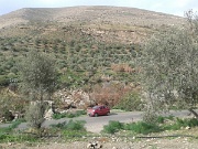 Wadi Wala (34)